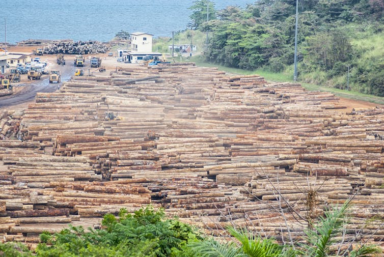 Stacks of logs piled alongside a narrow road, with the ocean behind.