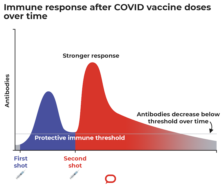 should i get my covid vaccine booster yes it increases protection against covid including omicron should i get my covid vaccine booster yes it increases protection against covid including omicron