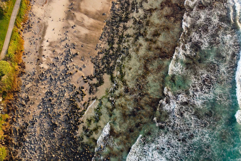 Aerial shot of rocky beach shore