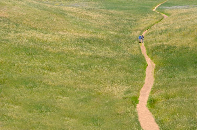 People walking down a dirt path in a field.