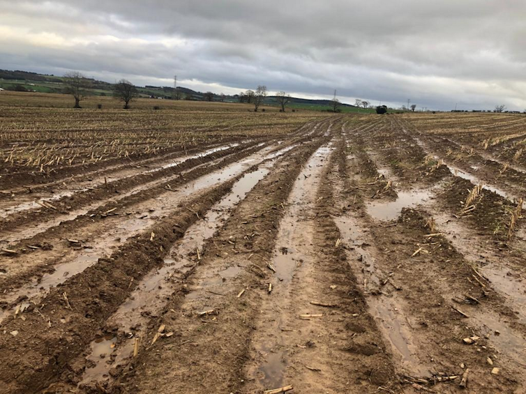 In winter fields without crops are often exposed to erosion