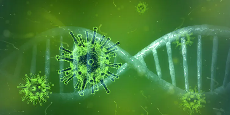 Illustration of green coronaviruses with a DNA double-helix