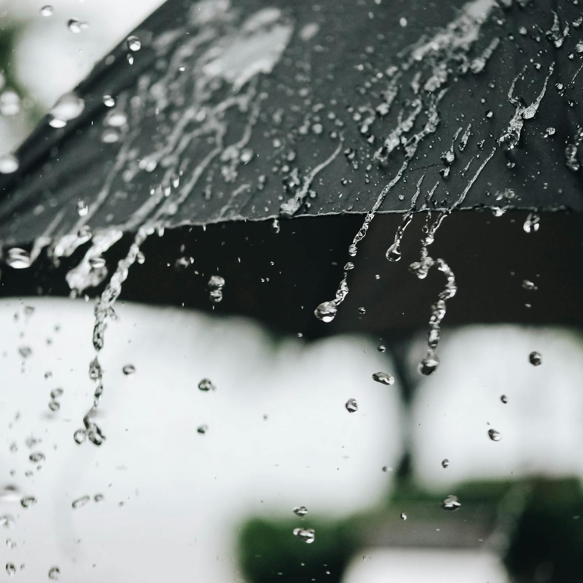 What's the record for how long it's ever rained without stopping?