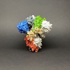 Model of a spike protein rendered in several colours against a grey background.