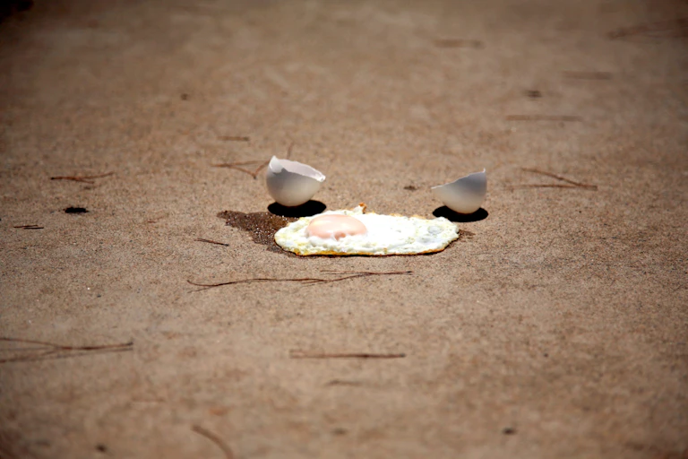 Fried egg and cracked eggshell on concrete