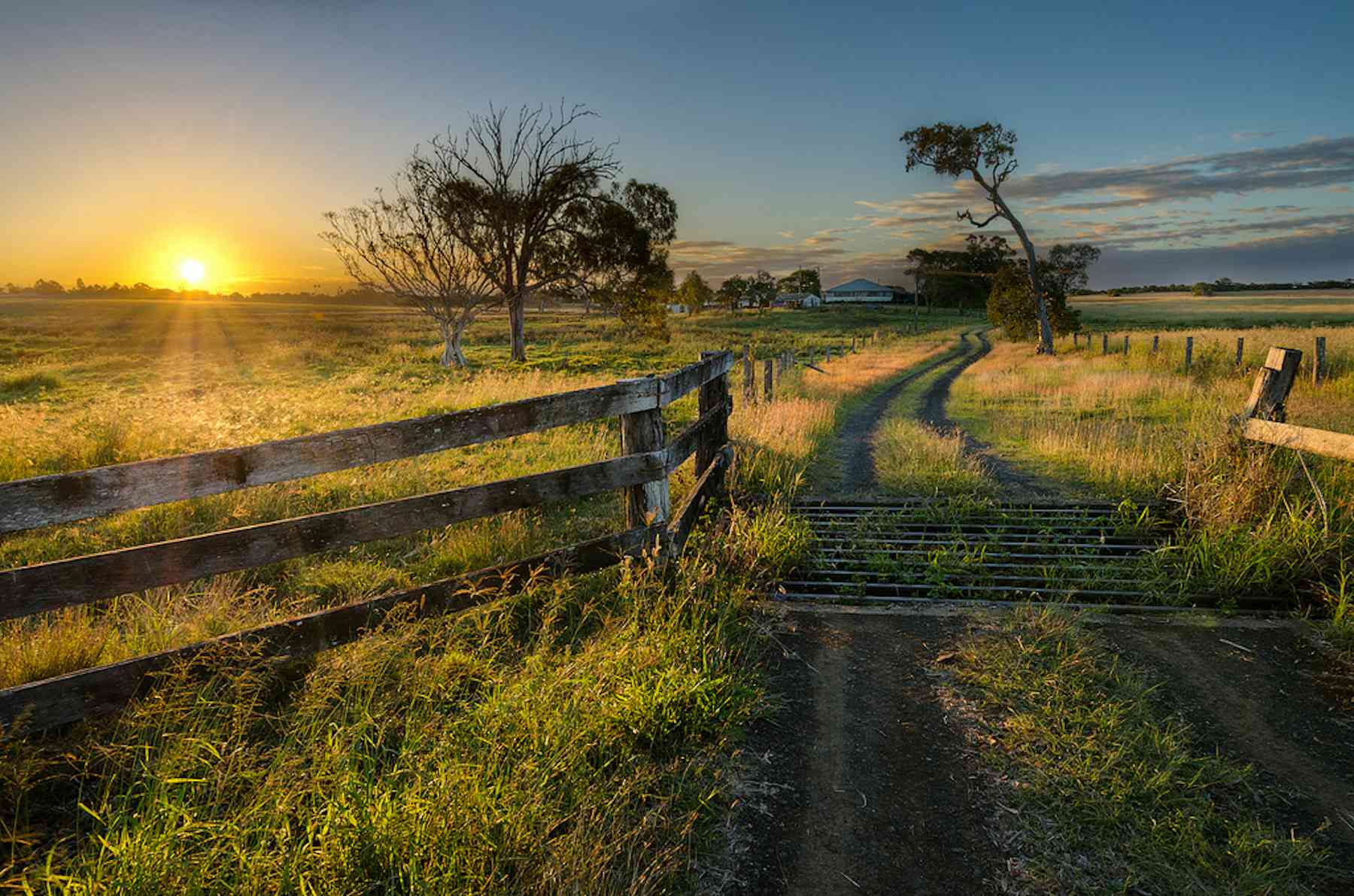 Lost in the paddock: Australia flying blind on farm ownership