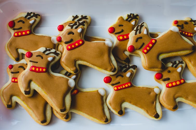A tray of reindeer biscuits with bright red noses.