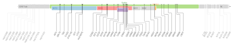 Séquence génétique d’Omicron et localisation des mutations