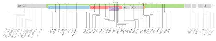 Séquence génétique d’Omicron et localisation des mutations
