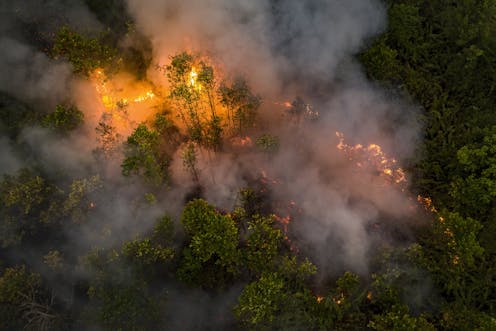 Alternative data: setting the record straight on the scale of Indonesia’s 2019 fires