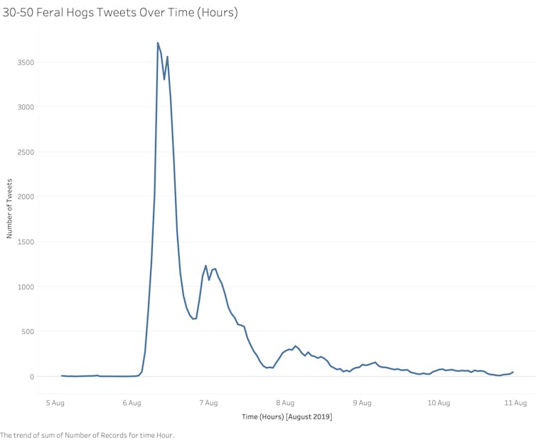 The peak of the 30-50 feral hogs meme lasted less than a day.