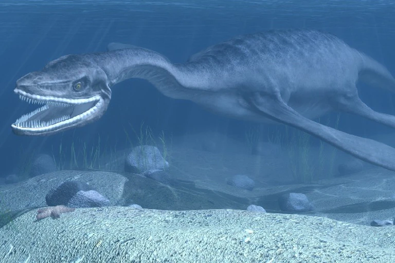 An artistic impression of a plesiosaur