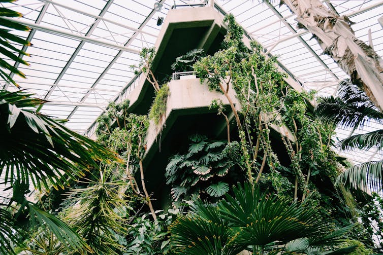 A plant filled atrium.