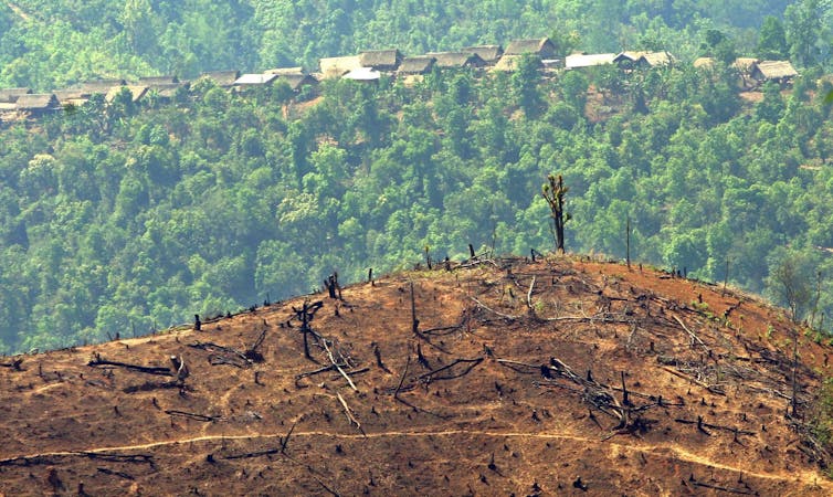 logged hill in front of green landscape