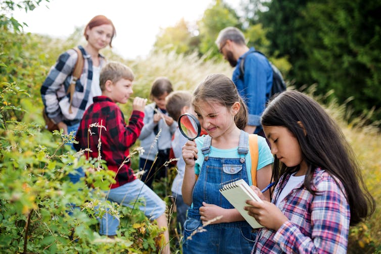 Teachers and school students outside looking at plants