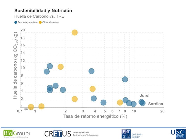 ¿Pescado y marisco para Navidad? Cómo elegir el más saludable y sostenible