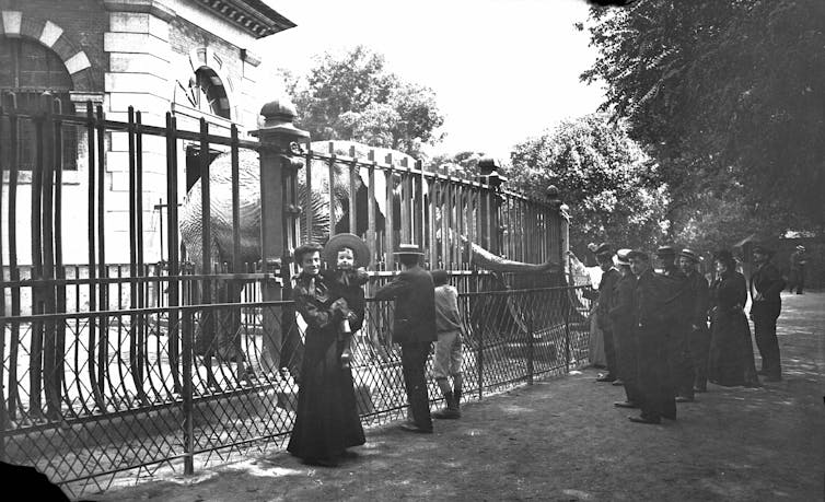 Black and white photo of people wearing old style clothes and hats at a zoo with an elephant behind bars.
