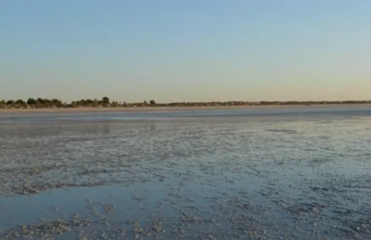 Eighty Mile Beach