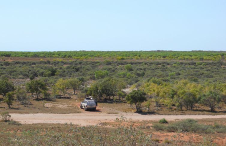 Eclipse observation site at Wallal