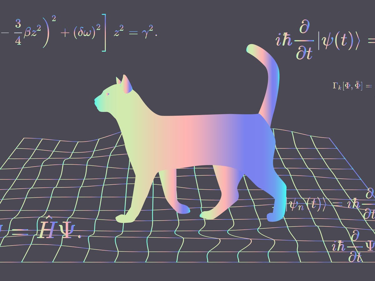 Qué pasó con el gato filósofo de Schrödinger?