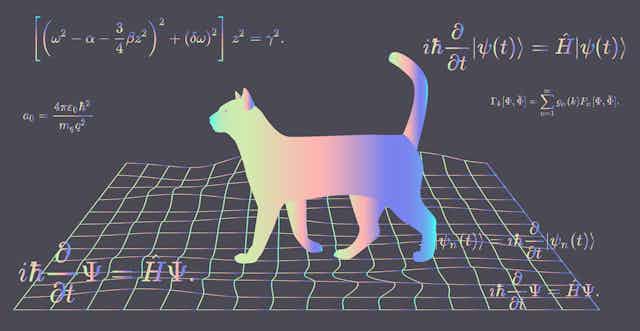 Qué pasó con el gato filósofo de Schrödinger?