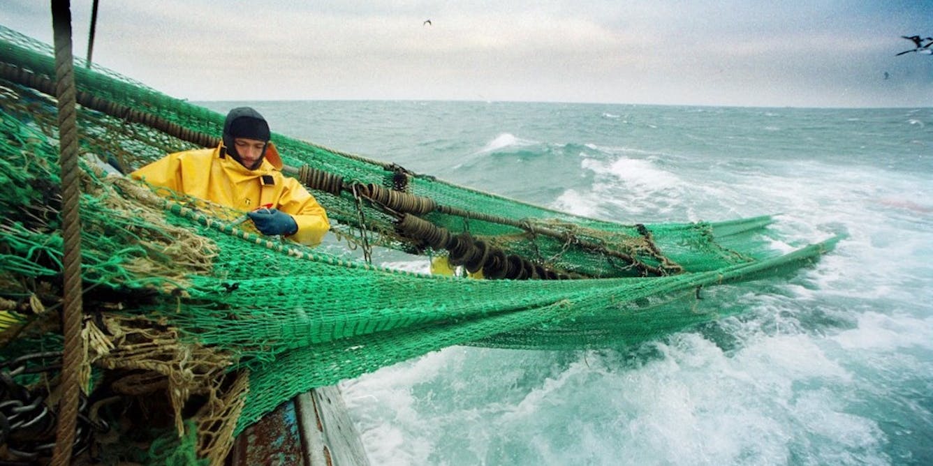 Les filets perdus par les pêcheurs, un danger pour la biodiversité marine
