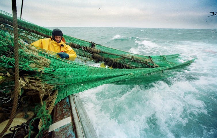 Biodegradable Fishing Nets May Help Protect Marine Animals - green