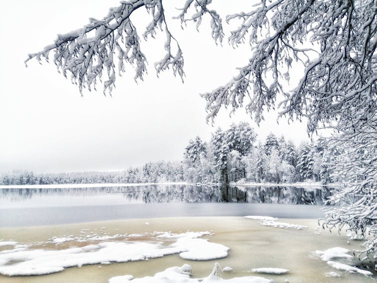 A frozen lake in Finland