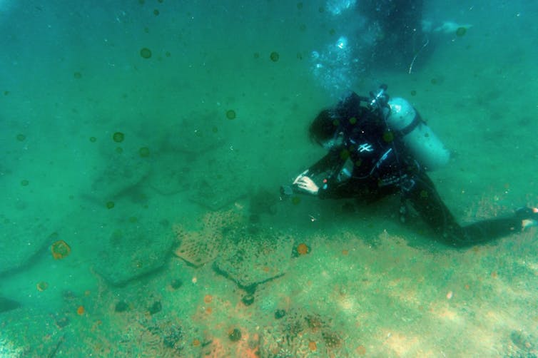 A marine scientist diver from the University of Hong Kong's swims above 3D-printed clay tiles, designed to work as an artificial bed for corals in the waters of Hoi Ha Wan marine park in Hong Kong