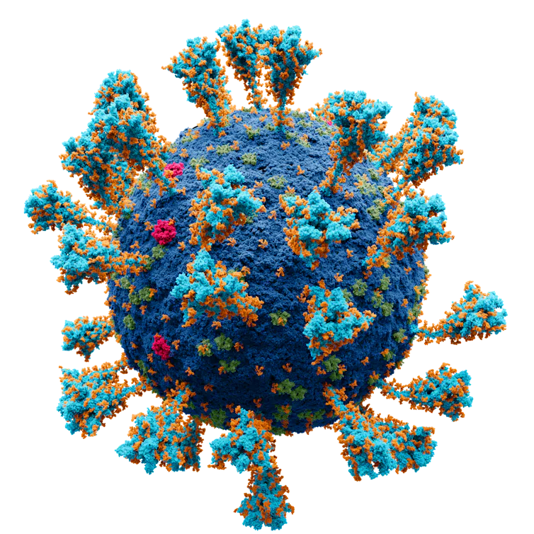A model of the coronavirus.
