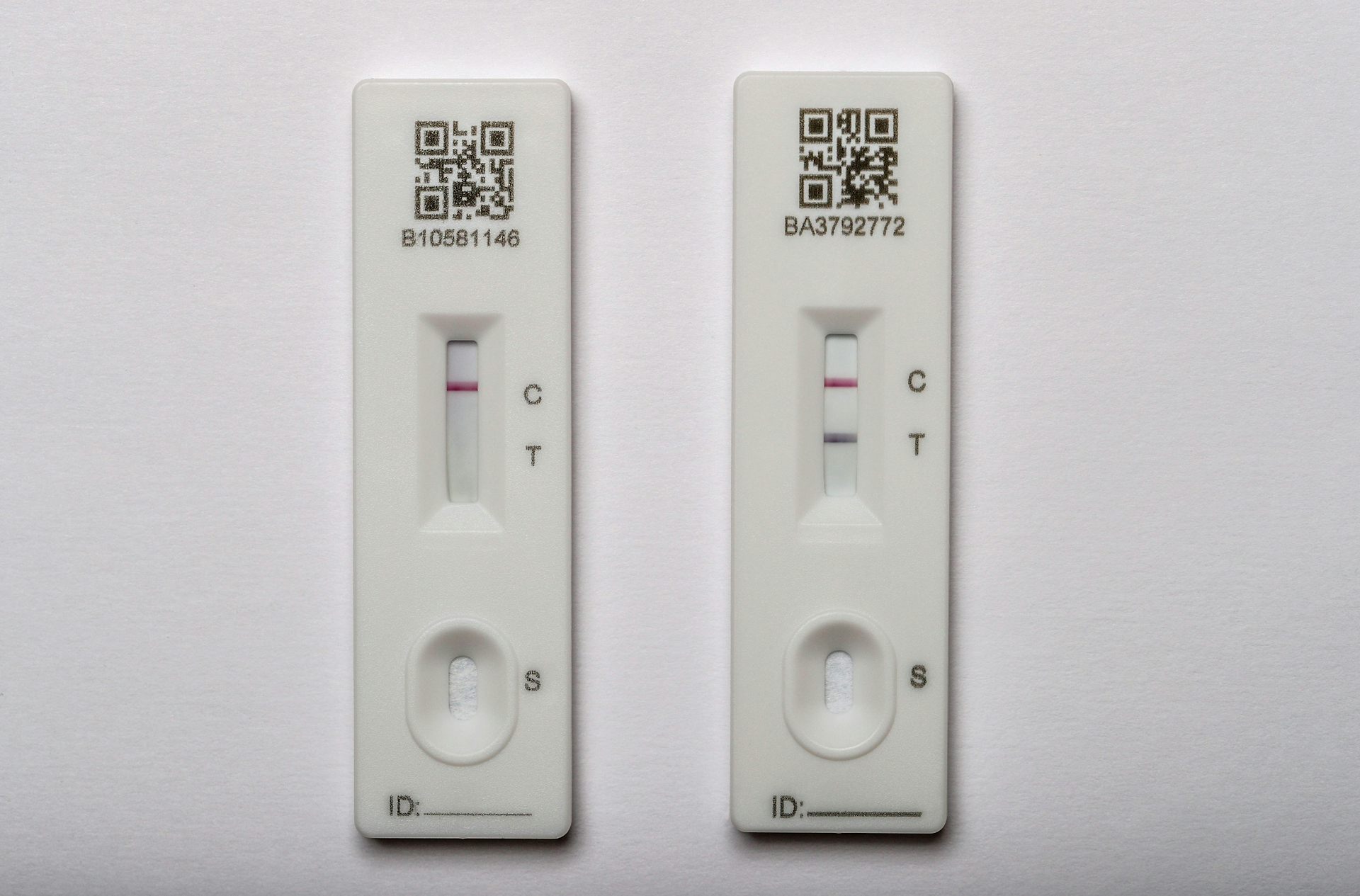 how to get a lateral flow test kit