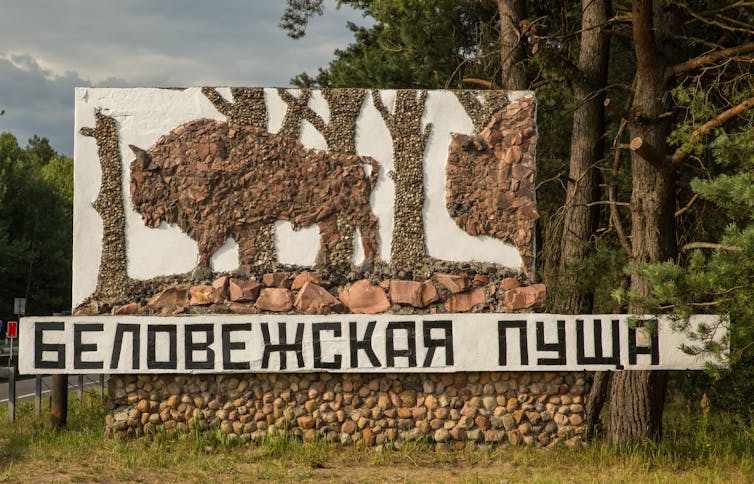 sign saying 'Беловежская пуща'
