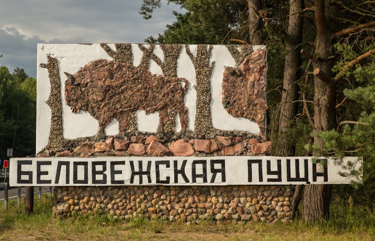 Tablica do pisania „Puszcza Białowieska”