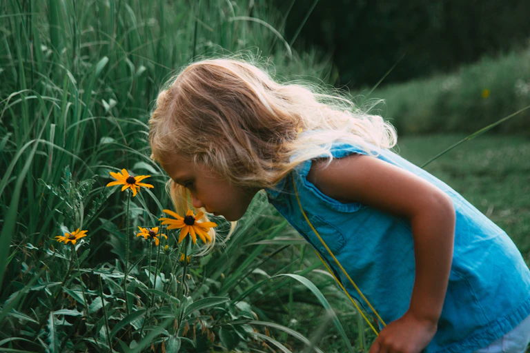 Child smelling a black eyed susan