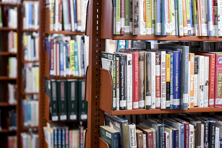 A bookshelf