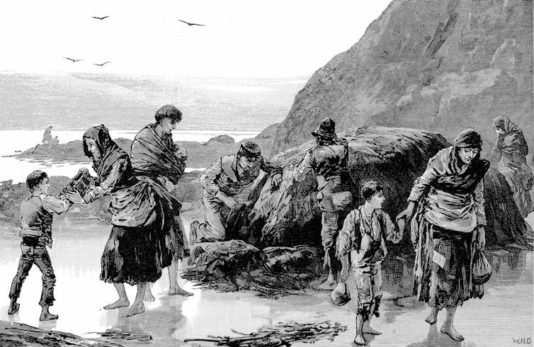 A famine-hit Irish family collecting limpets and seaweed on the beach in the 19th century.