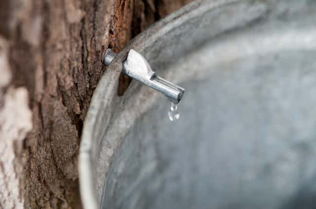 A drop falls from a faucet in a bucket