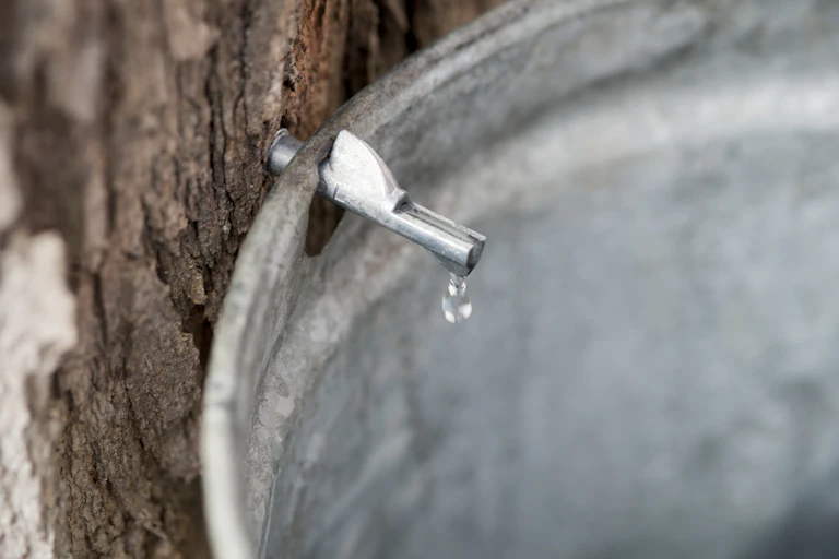 A drop falls from a faucet in a bucket