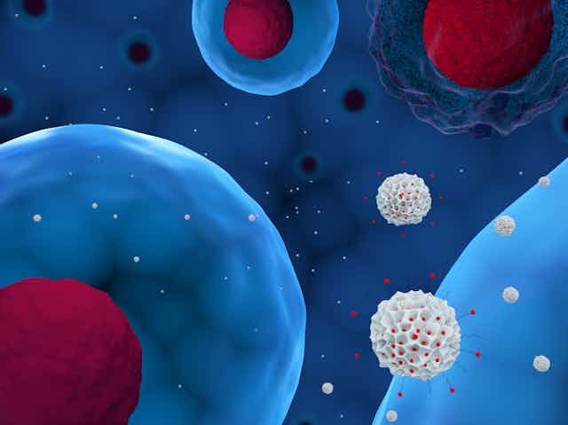 3D illustration of nanoparticles delivering drug to cells