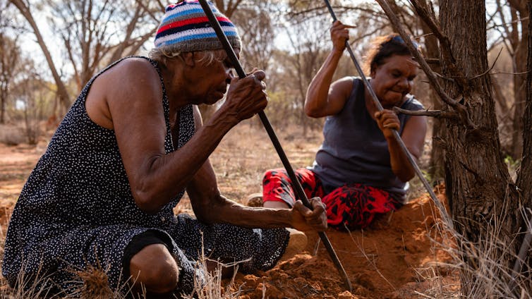 Two Aborginal Aunties digging for honey ants.