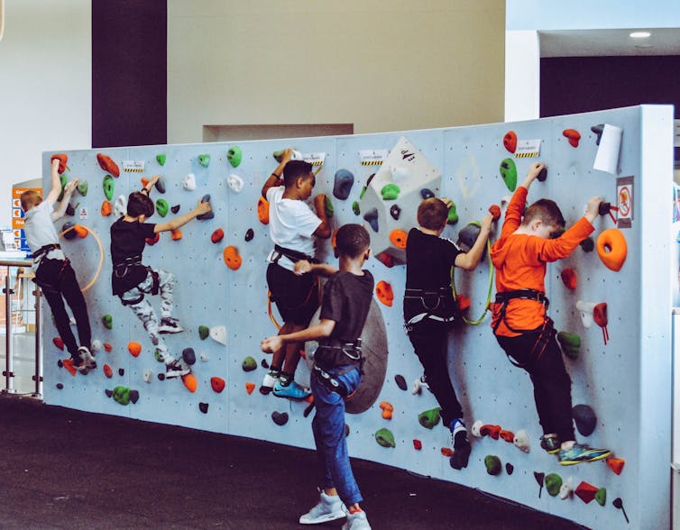 Children on an indoors climbing wall.