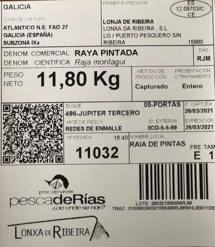 ¿Pescado y marisco para Navidad? Cómo elegir el más saludable y sostenible