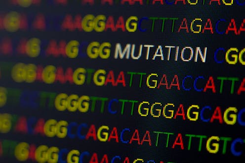 Genomic sequencing: Here's how researchers identify omicron and other COVID-19 variants