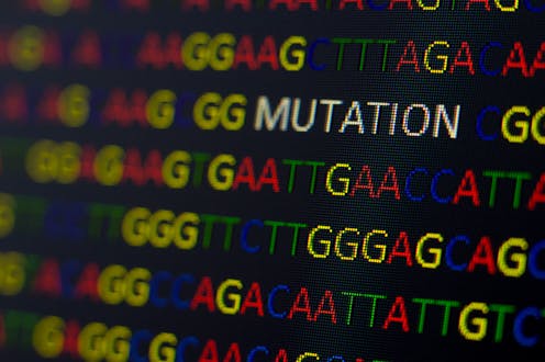 Genomic sequencing: Here's how researchers identify omicron and other COVID-19 variants