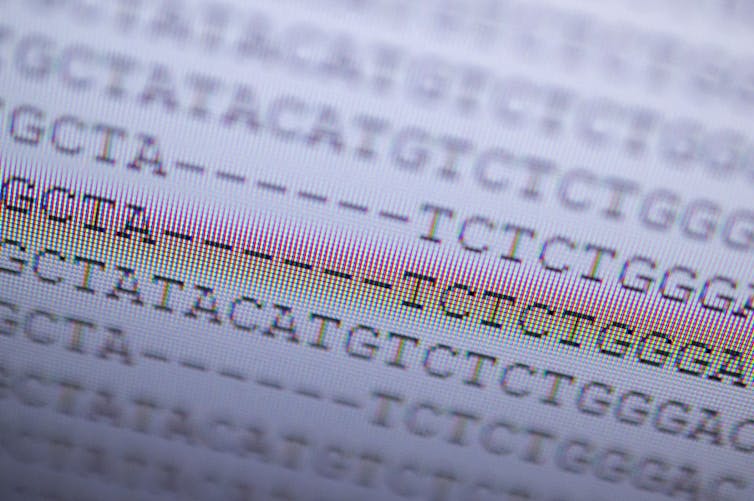 A screen showing sequences of the letters T, C, A and G.