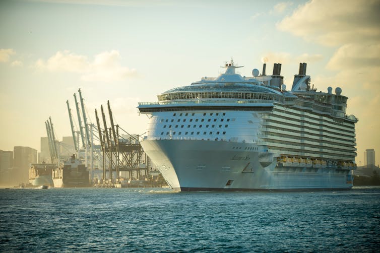 A large passenger cruise ship with port in the background.