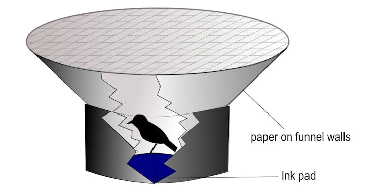 A diagram of an Emlen funnel