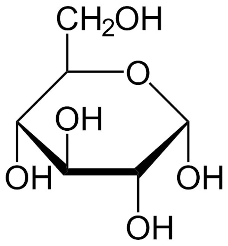 A diagram of a glucose molucule.