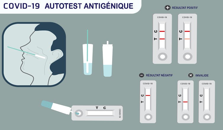 Schéma des trois types de résultats : bande C (négatif), bande C et T (positif) et les erreurs