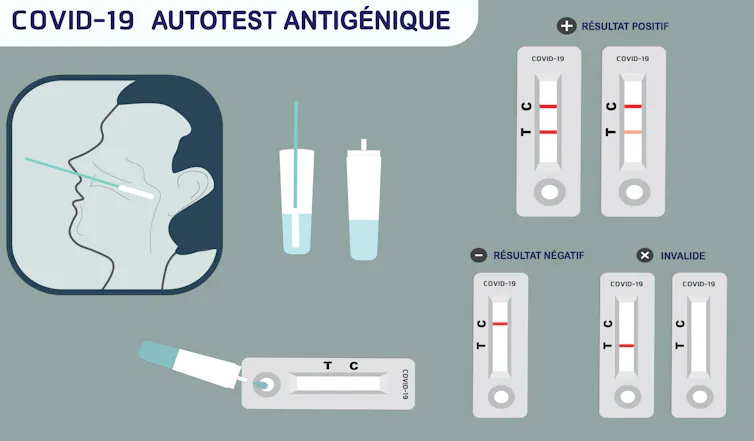 Schéma des trois types de résultats : bande C (négatif), bande C et T (positif) et les erreurs